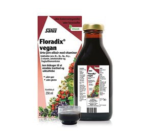 Detaljeret produktbillede af Floradix Vegan 250 ml. på tilbud
