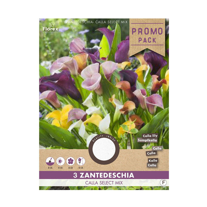 Produktbillede af Calla Zantedeschia blomsterløg 3 stk. på tilbud i høj kvalitet