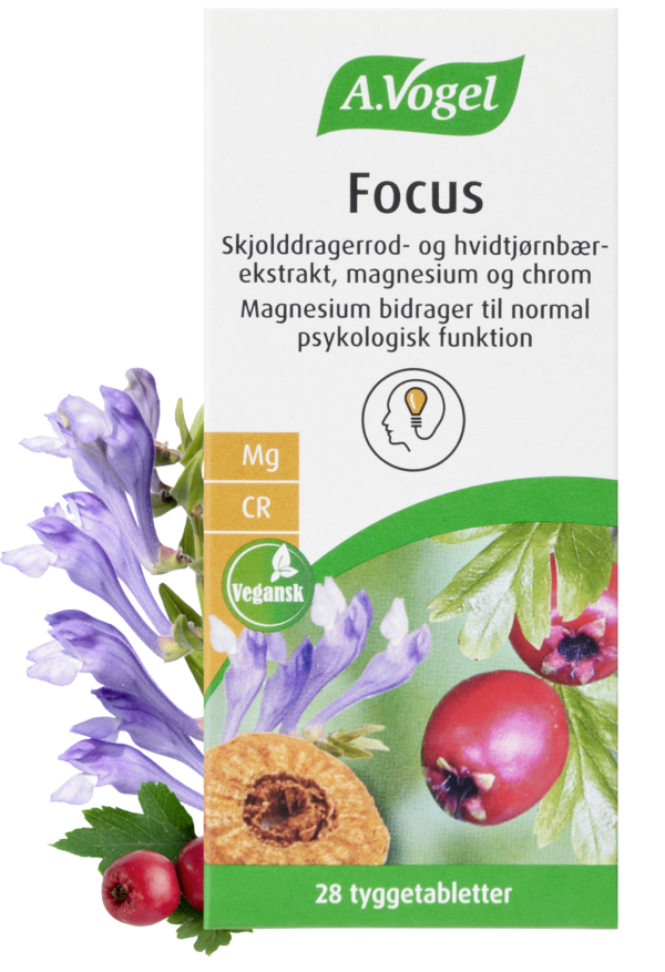 Detaljeret produktbillede af A. Vogel Focus (28 tyggetabletter) Datovare med udløb 12/2025 på tilbud