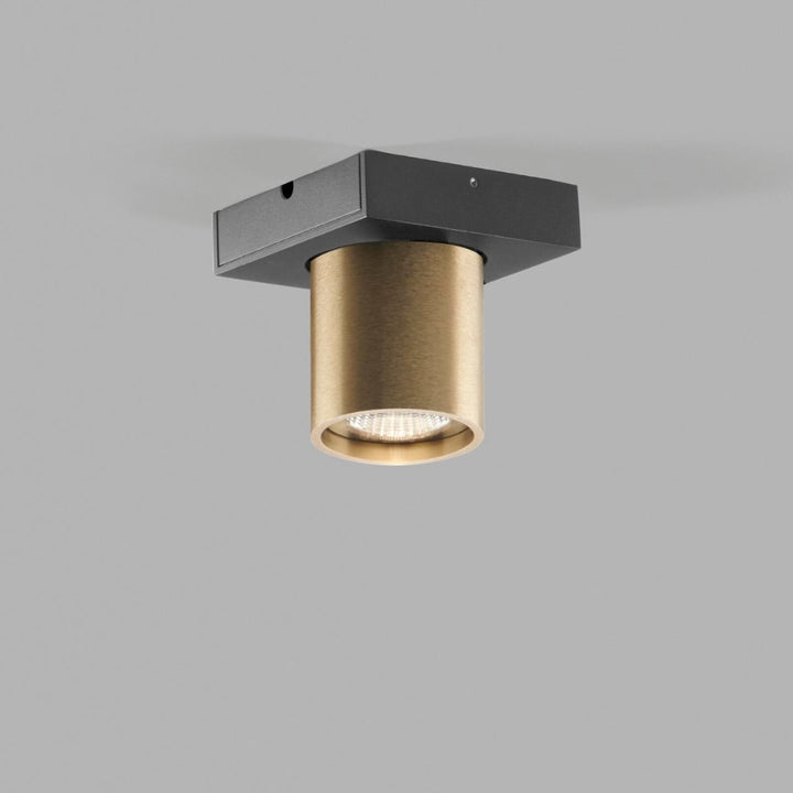 Focus 1 LED Messing 3000K LIGHT-POINT
