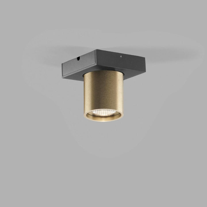 Focus Mini 1 LED Messing 3000K LIGHT-POINT