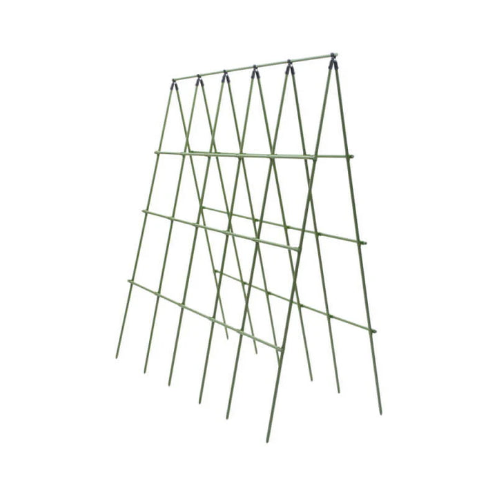 Plantestøtte espalier 240 x 240 cm