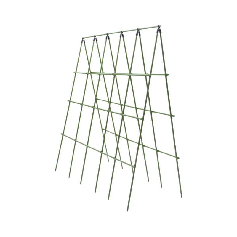 Plantestøtte espalier 240 x 240 cm
