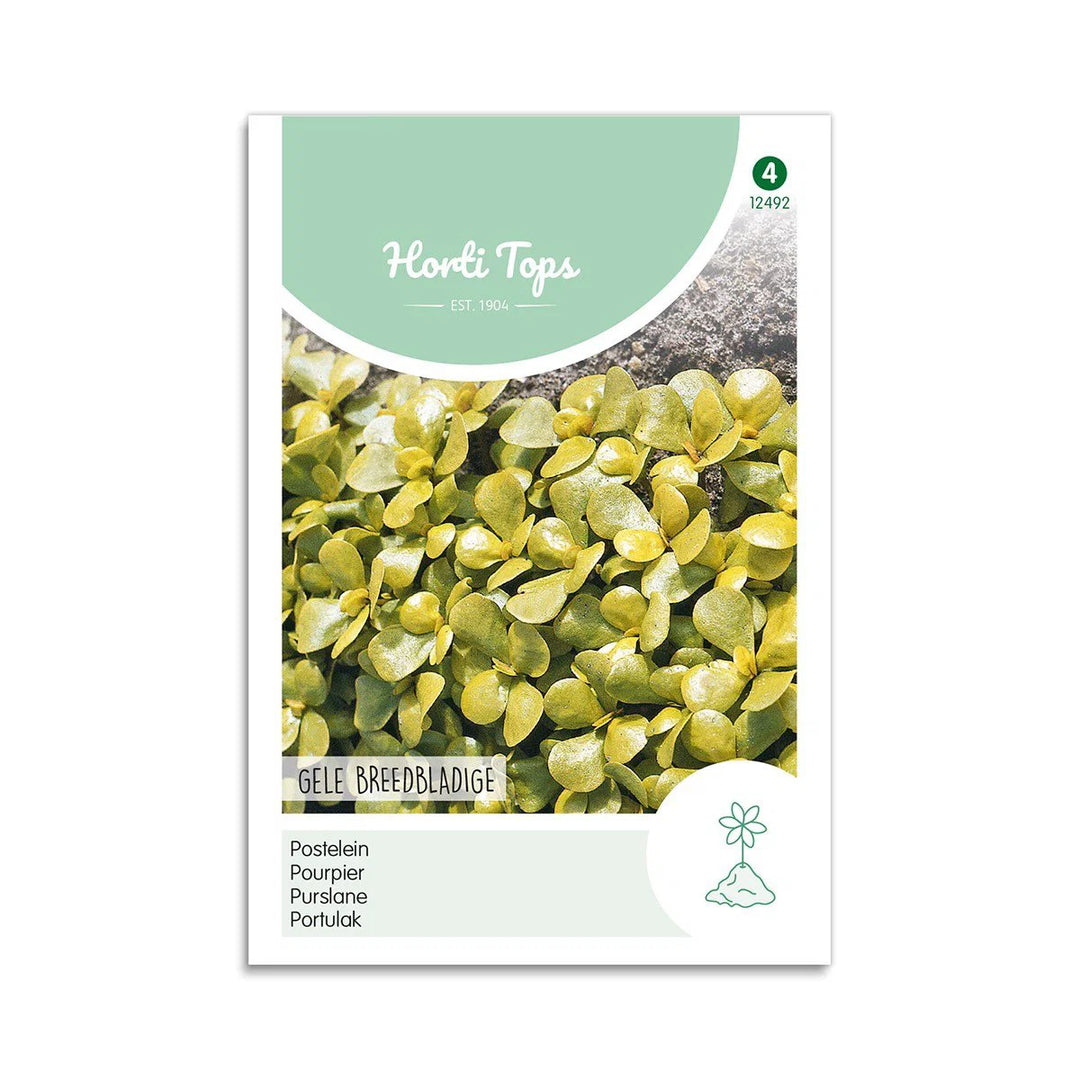 Gul Portulak frø Gele Breedbladige Horti Tops