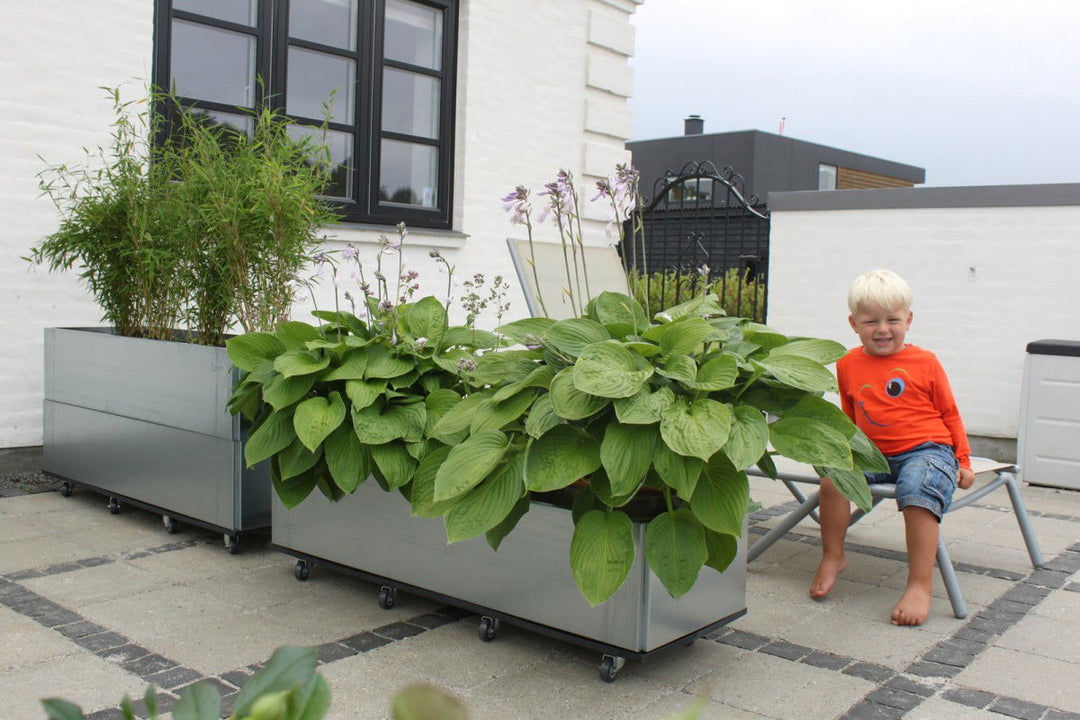 Produktbillede af Bundplade med hjul 40 x 120 cm galvaniseret jern på tilbud i høj kvalitet