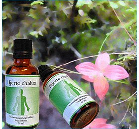 Produktbillede af Holistica-Medica Hjerte chakra 50ml. på tilbud