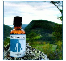 Holistica-Medica Hoastasin comp. 50ml.