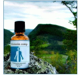 Holistica-Medica Honasin comp. 50ml.