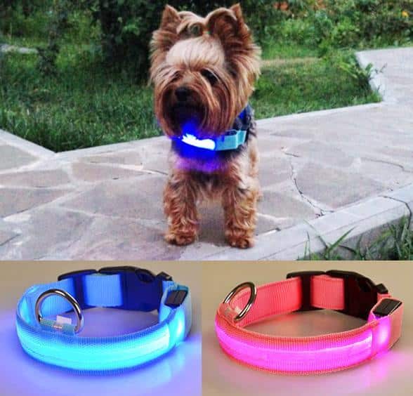 Produktbillede af Køb Hundehalsbånd med led-lys Blå Small på tilbud