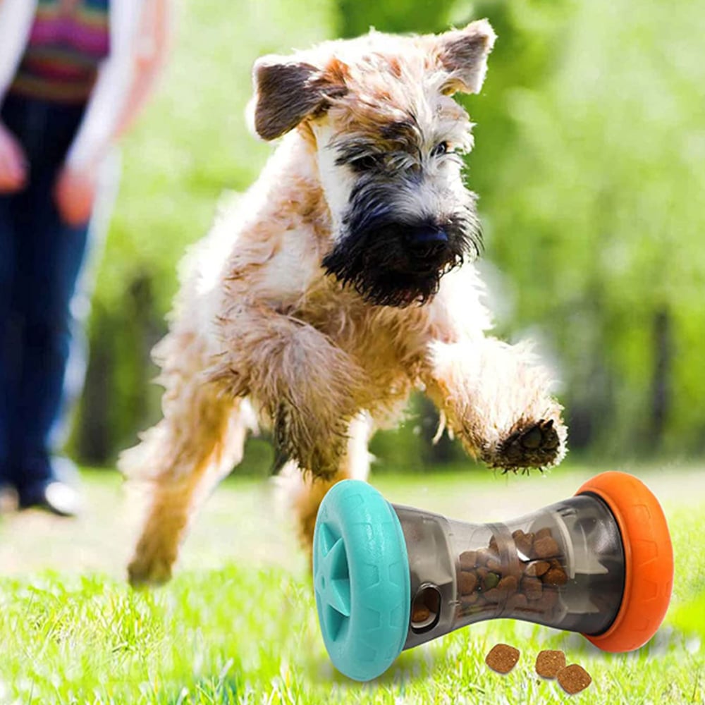 Produktbillede af Køb Hunde Snack Aktivitetslegetøj til godbidder på tilbud