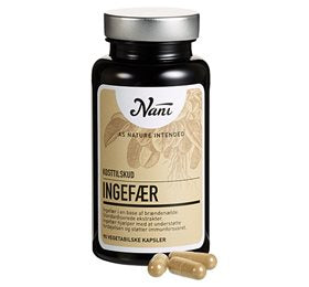 Produktbillede af Nani Ingefær 90 kap. på tilbud