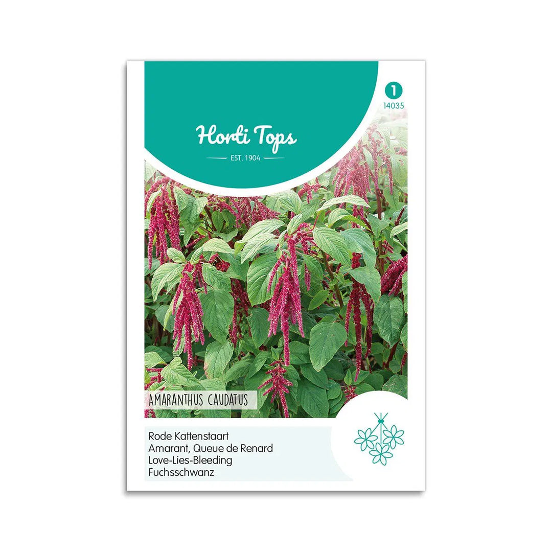 Rævehaleamarant frø Horti Tops