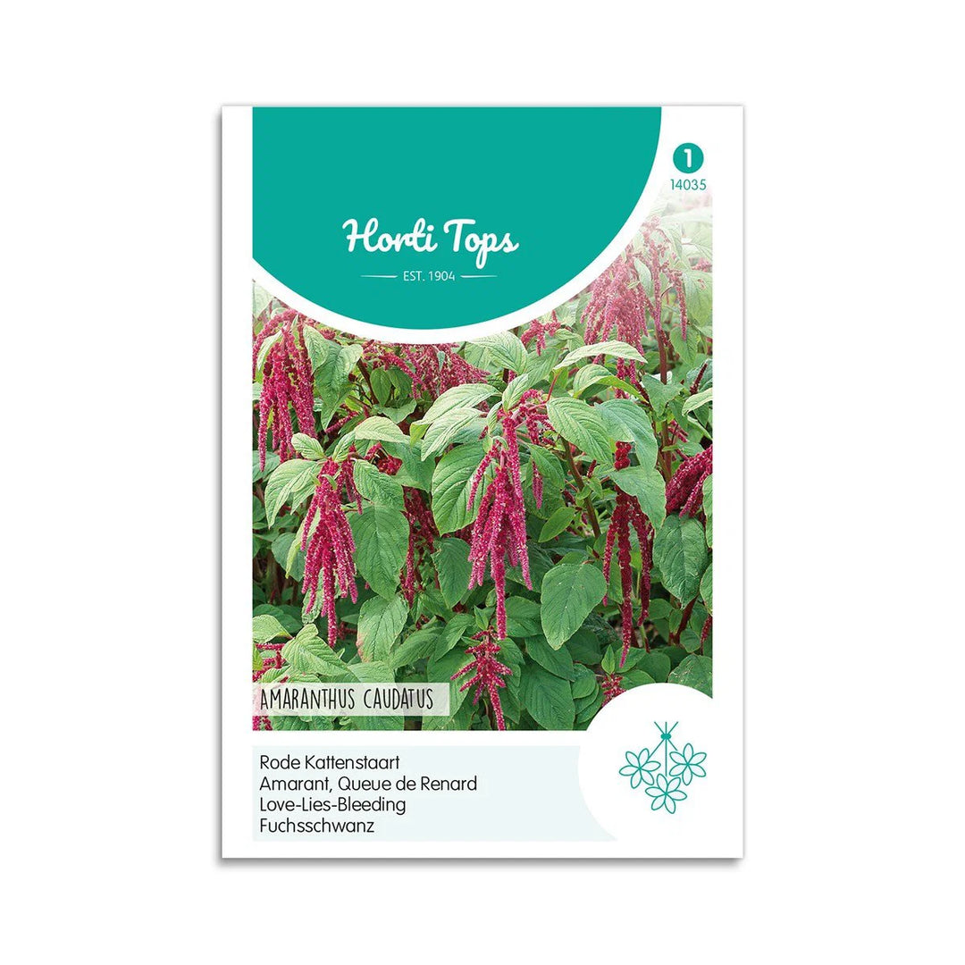 Rævehaleamarant frø Horti Tops