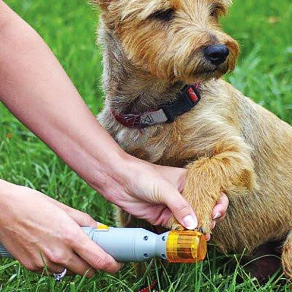 Produktbillede af Køb Elektrisk smertefri negleklipper/fil til kæledyr Pedi Paws på tilbud