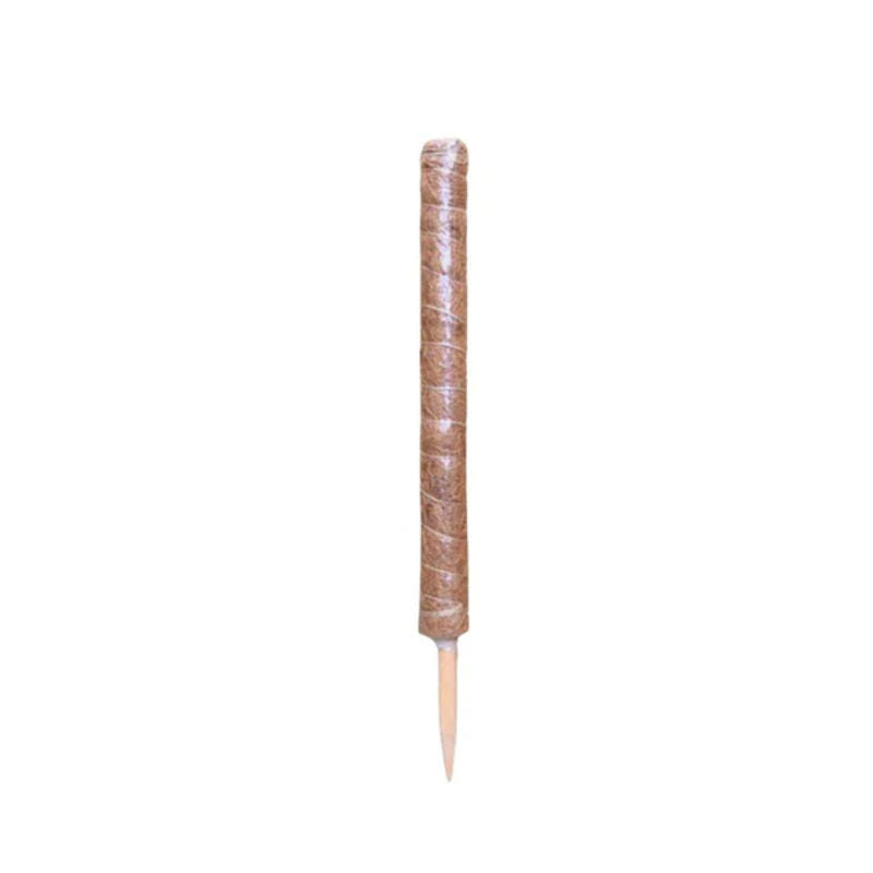 Produktbillede af Kokos plantestøtte H: 90 cm på tilbud i høj kvalitet