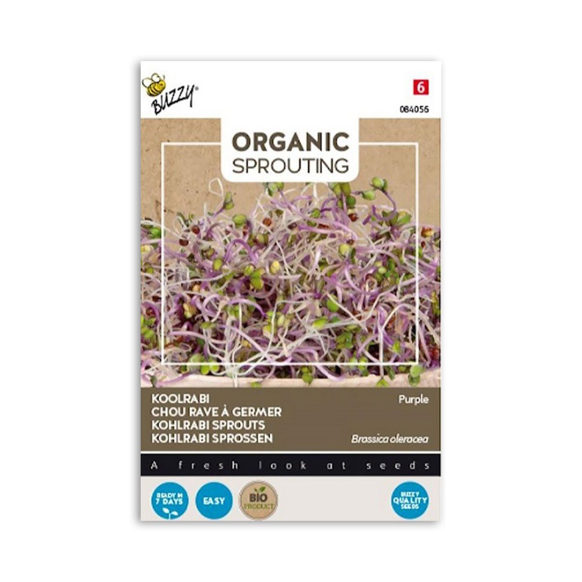 Produktbillede af Økologisk lilla kålrabispirer frø 20 g på tilbud i høj kvalitet
