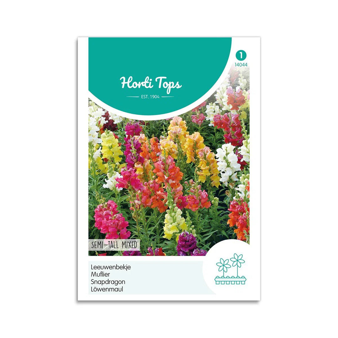 Løvemund frø Medium høj mix Horti Tops