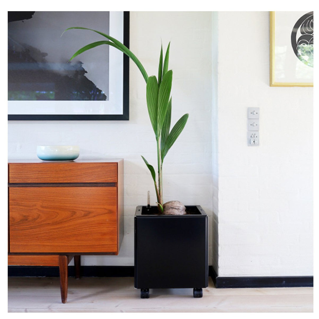 Produktbillede af Land Black Sort indendørs plantekasse med selvvanding uden bundplade 40 x 120 x 40 cm høj på tilbud i høj kvalitet