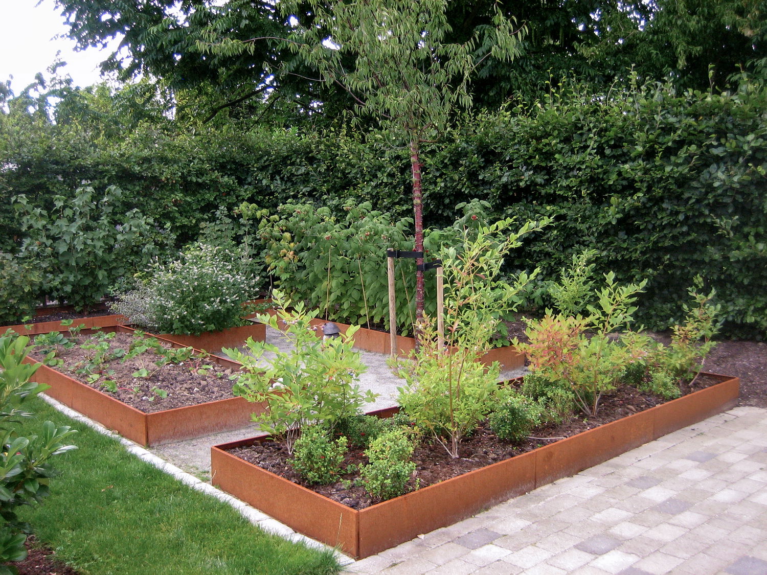 Produktbillede af Højbed aflang 80x240 cm råjern på tilbud i høj kvalitet
