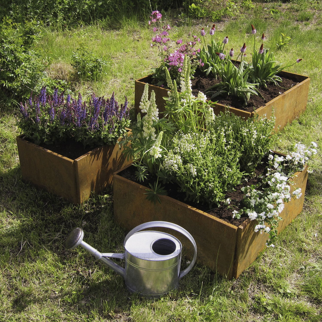 Produktbillede af Kvadratiske højbede 60x60cm 25cm høj Råjern Uden bundplade på tilbud i høj kvalitet