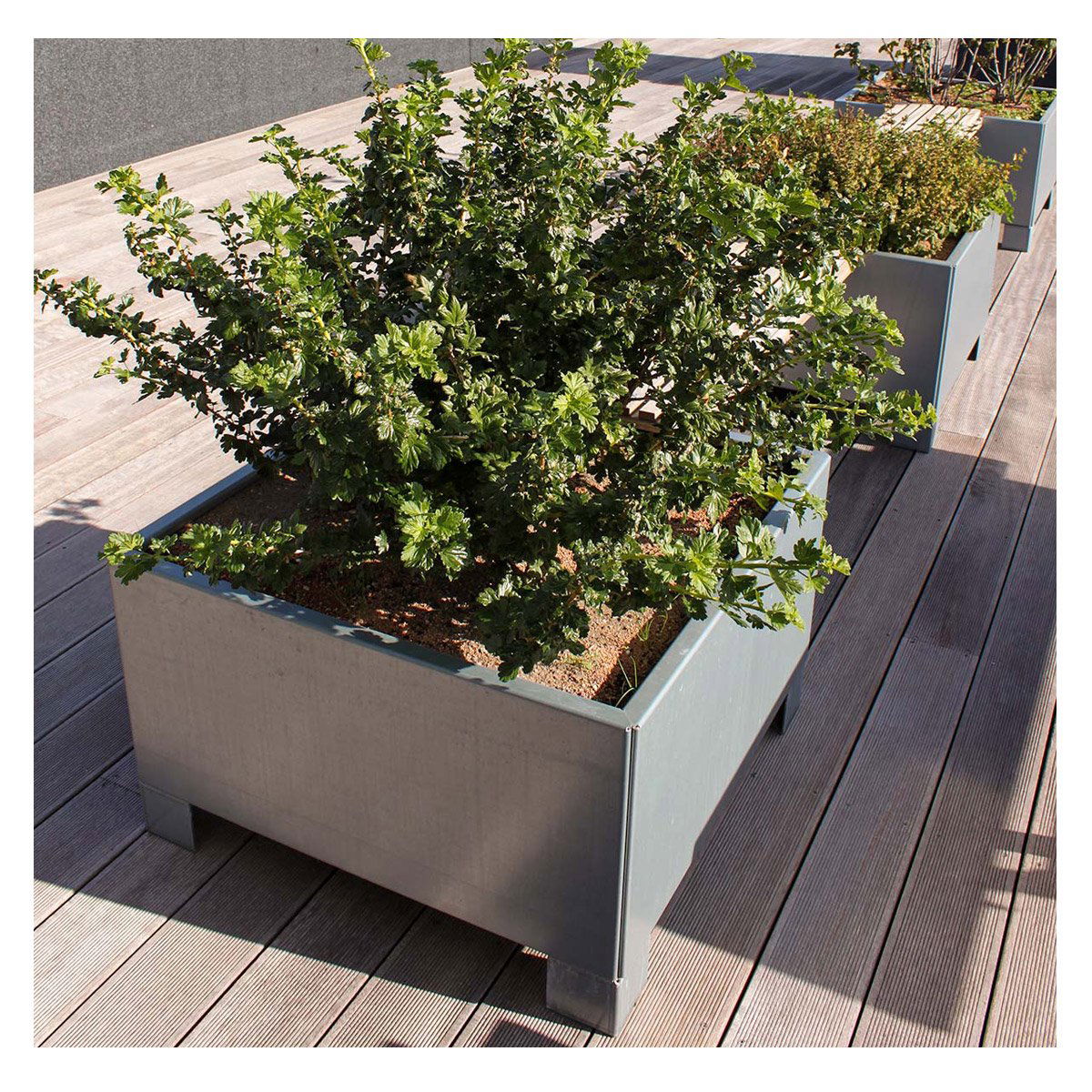 Produktbillede af Land Modern Kvadratisk plantekasse med ben i galvaniseret stål 120 x 120 cm på tilbud i høj kvalitet