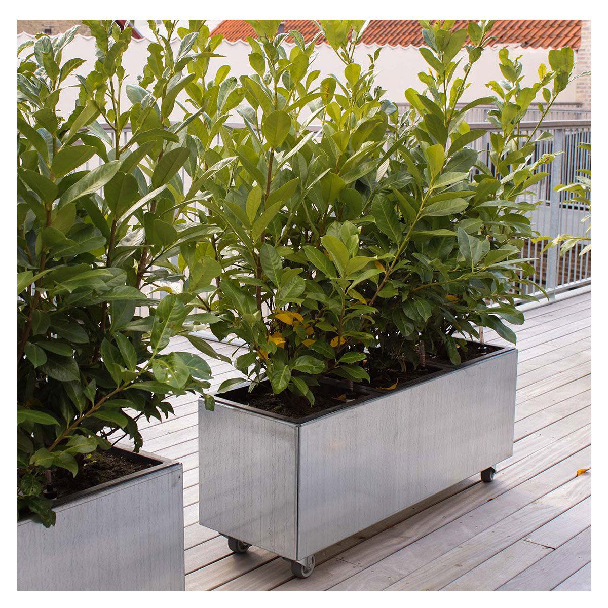 Produktbillede af Land Modern Aflang plantekasse i galvaniseret stål på hjul 60 x 120 cm på tilbud i høj kvalitet