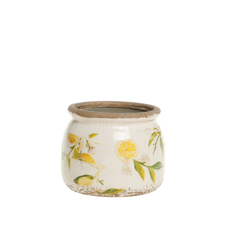 LIMONE krukke m. citroner mini