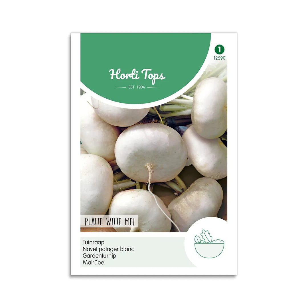 Majroe frø Platte Witte Mei Horti Tops