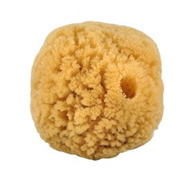 Produktbillede af Natursvamp 10-12 cm fra koral 1 stk. på tilbud