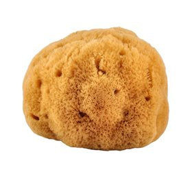 Produktbillede af Natursvamp 14-16 cm fra koral 1 stk. på tilbud