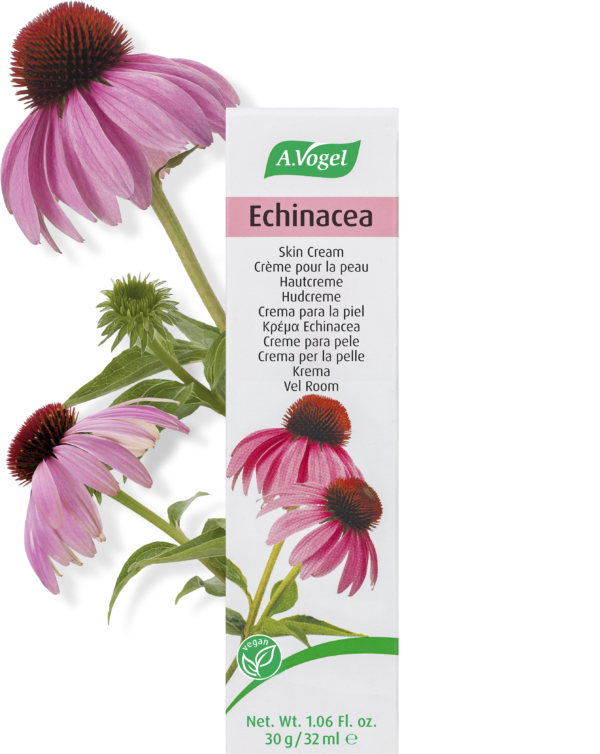 Detaljeret produktbillede af A. Vogel Echinacea Creme 30 g. på tilbud