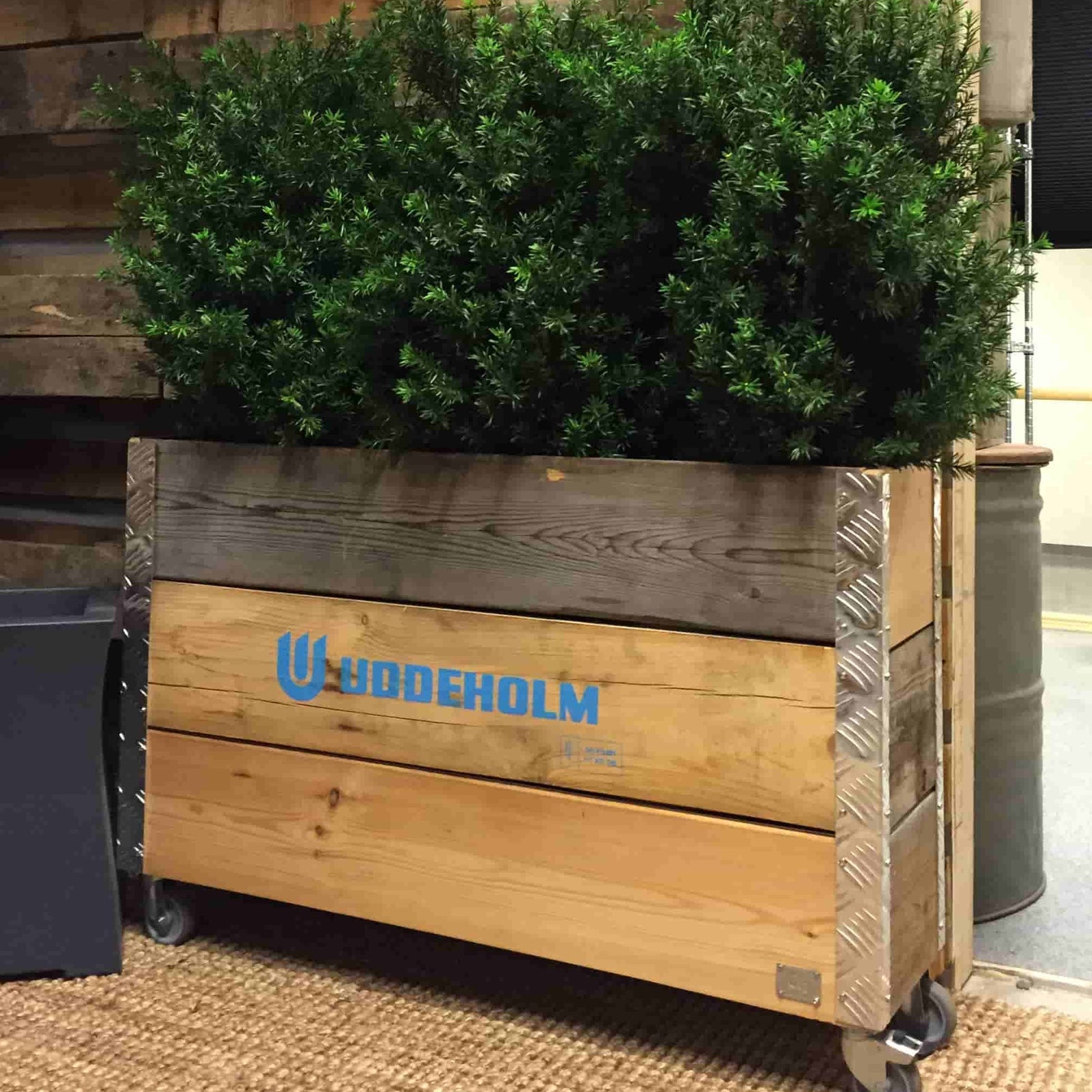 Produktbillede af Arizona Opbevaringskasse i genbrugstræ 102 x 25 x højde 67,5 cm på tilbud i høj kvalitet