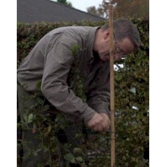 Se Tonkin stokke 10 stk. pakke 210 cm. ❤ Stort online udvalg i Plantetorvet ❤ Hurtig levering: 1 - 2 Hverdage samt billig fragt - Varenummer: PTT-38221 og barcode / Ean: på lager - Udsalg på Opbindingsmateriale > Bambus stokke Spar op til 52% - Over 412 kendte brands på udsalg