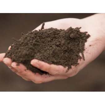 Se Tagjord fra Champost 15 liter sække ❤ Stort online udvalg i Plantetorvet ❤ Hurtig levering: 1 - 2 Hverdage samt billig fragt - Varenummer: PTT-94616 og barcode / Ean: på lager - Udsalg på Tagbeplantning > Tagjord Spar op til 59% - Over 400 kendte brands på udsalg