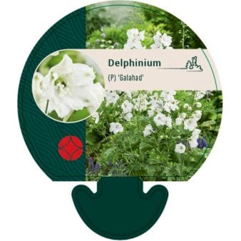 Se Ridderspore ❤ Stort online udvalg i Plantetorvet ❤ Hurtig levering: 1 - 2 Hverdage samt billig fragt - Varenummer: PTT-92190 og barcode / Ean: på lager - Udsalg på Stauder > Ridderspore Spar op til 52% - Over 412 kendte brands på udsalg