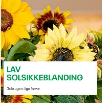 Se Lav solsikkeblanding 1 kg. pose ❤ Stort online udvalg i Plantetorvet ❤ Hurtig levering: 1 - 2 Hverdage samt billig fragt - Varenummer: PTT-79773 og barcode / Ean: på lager - Udsalg på Vildfrø > Frø til eng og natur Spar op til 61% - Over 350 kendte brands på udsalg