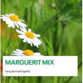 Se Marguerit Mix 1 kg. pose ❤ Stort online udvalg i Plantetorvet ❤ Hurtig levering: 1 - 2 Hverdage samt billig fragt - Varenummer: PTT-79774 og barcode / Ean: på lager - Udsalg på Vildfrø > Frø til eng og natur Spar op til 59% - Over 350 kendte brands på udsalg