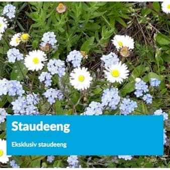 Se Eksklusiv staude eng 1 kg. pose ❤ Stort online udvalg i DLF Seeds ❤ Hurtig levering: 1 - 2 Hverdage samt billig fragt - Varenummer: PTT-79780 og barcode / Ean: på lager - Udsalg på Vildfrø > Frø til eng og natur Spar op til 64% - Over 350 kendte brands på udsalg