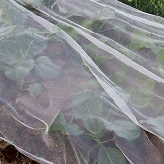 Se Kålnet 2x5m - inkl 6 pløkker 40g/m2 ❤ Stort online udvalg i Plantetorvet ❤ Hurtig levering: 1 - 2 Hverdage samt billig fragt - Varenummer: PTT-96619 og barcode / Ean: på lager - Udsalg på Net og duge > Fiberdug Spar op til 57% - Over 360 kendte mærker på udsalg
