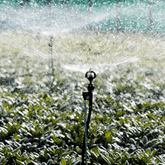 Se Sprinkler komplet ❤ Stort online udvalg i Plantetorvet ❤ Hurtig levering: 1 - 2 Hverdage samt billig fragt - Varenummer: PTT-24094 og barcode / Ean: på lager - Udsalg på Vandingsudstyr > Sprinkler anlæg Spar op til 63% - Over 454 kendte mærker på udsalg