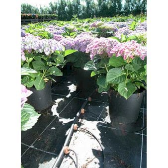 Se Dryp-Slange sæt. ❤ Stort online udvalg i Plantetorvet ❤ Hurtig levering: 1 - 2 Hverdage samt billig fragt - Varenummer: PTT-24101 og barcode / Ean: på lager - Udsalg på Vandingsudstyr > Dryp anlæg Spar op til 61% - Over 454 kendte mærker på udsalg