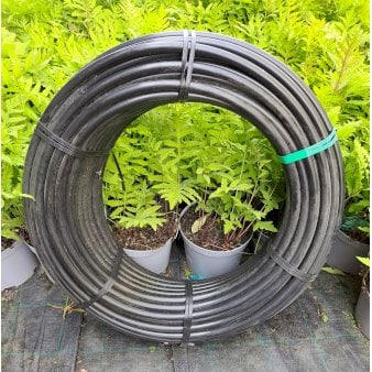 Se Plantetorvets hovedslange PEL-rør 20 mm Pris pr. meter Sort ❤ Stort online udvalg i Plantetorvet ❤ Hurtig levering: 1 - 2 Hverdage samt billig fragt - Varenummer: PTT-24102 og barcode / Ean: på lager - Udsalg på Vandingsudstyr > Hovedslange & Tilbehør Spar op til 59% - Over 454 kendte mærker på udsalg