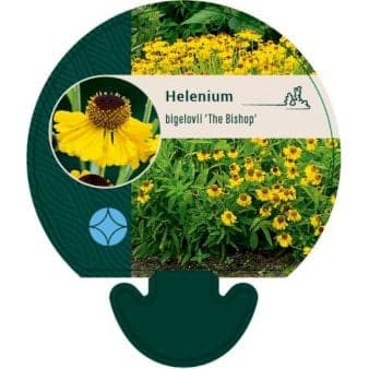 Se Solbrud ❤ Stort online udvalg i Plantetorvet ❤ Hurtig levering: 1 - 2 Hverdage samt billig fragt - Varenummer: PTT-92336 og barcode / Ean: på lager - Udsalg på Stauder > Solbrud Spar op til 56% - Over 324 kendte brands på udsalg