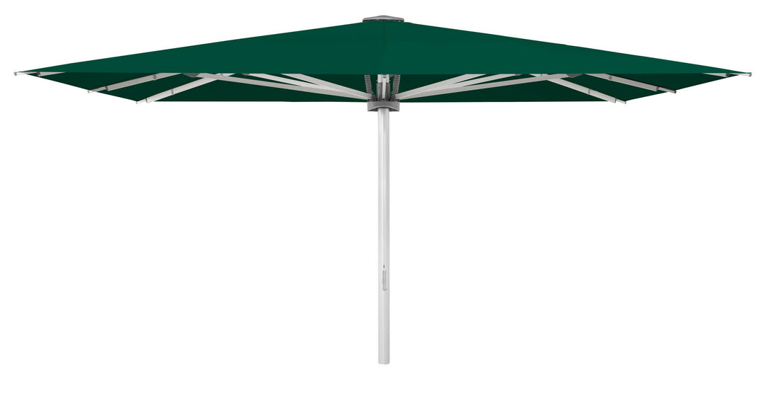 Produktbillede af Palazzo Noblesse 450x350cm m/frise Aloe på tilbud