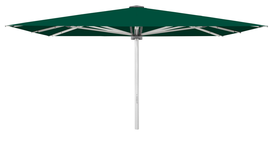 Produktbillede af Palazzo Style 450x450cm u/frisekant Aloe på tilbud
