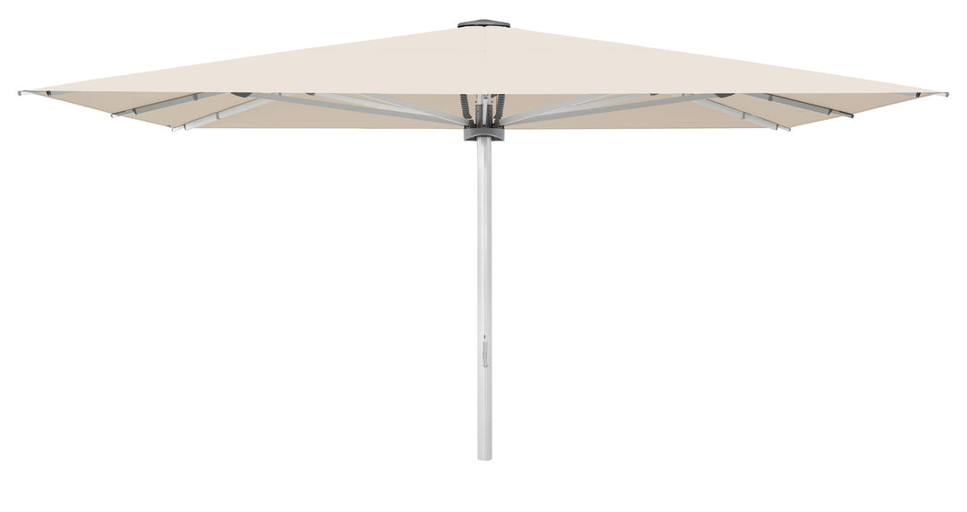 Produktbillede af Palazzo Style 350x250cm u/frisekant Champagne på tilbud
