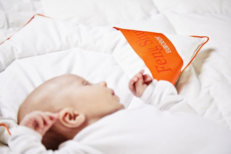 Produktbillede af Eurodun Mulan Baby pude Svanemærket Feng Shui økologiske renset på tilbud i høj kvalitet