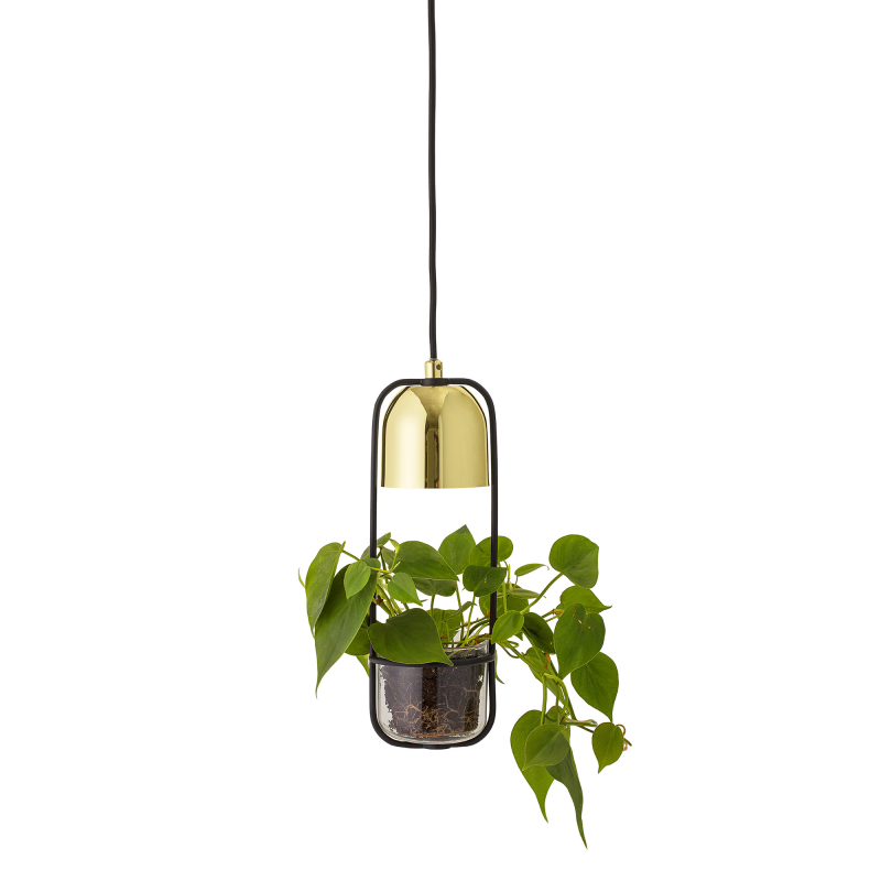Bloomingville Plante Loftlampe ❤ Stort online udvalg i Bloomingville ❤ Billig fragt og hurtig levering 2 - 5 hverdage ❤ Varenummer: BYH-1010224 / Ean: 5711173179503 på lager - Udsalg på Loftlamper - Over 434 design mærker på udsalg