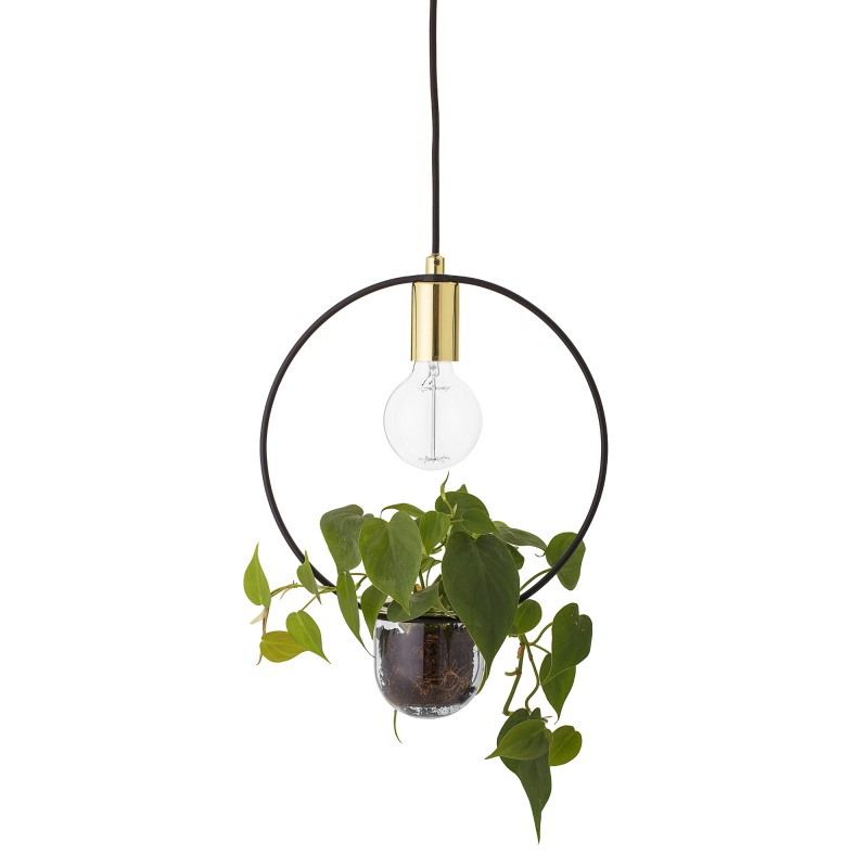 Produktbillede af Plante Loftlampe Cirkel på tilbud i høj kvalitet