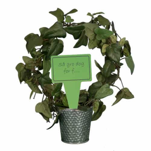 Produktbillede af Sjovt planteskilt Så gro dog! på tilbud i høj kvalitet